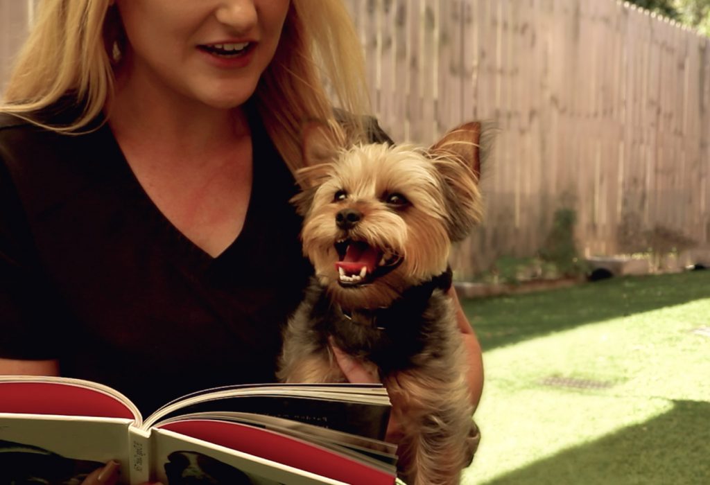Royal Treatment worker reads to happy Yorkshire Terrier during their Baton Rouge pet grooming services.